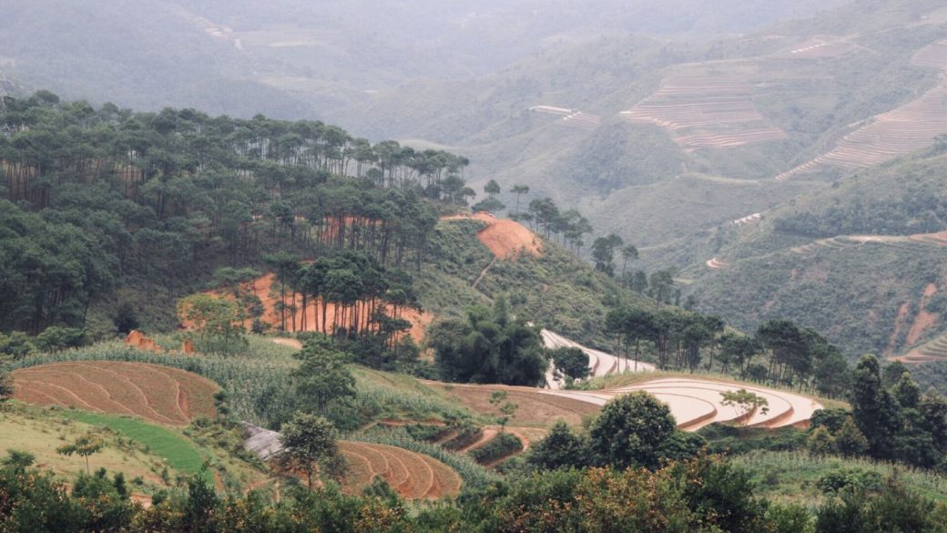 Yen Minh Forest